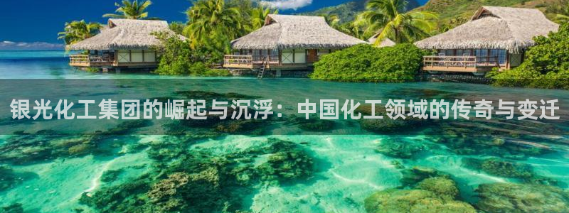 球盟会入口