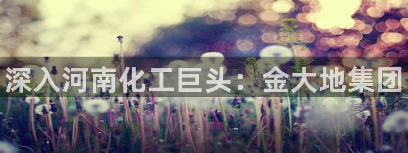 球盟会里面有打牌的嘛知乎
