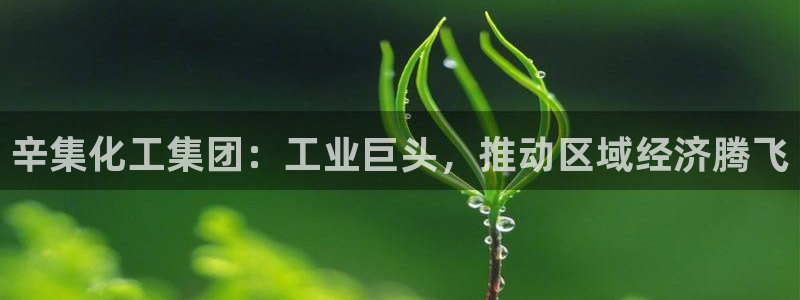 球盟会唯一