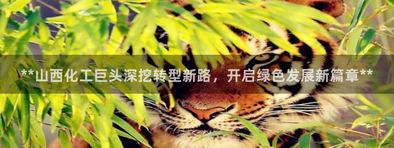 球盟会综合app下载