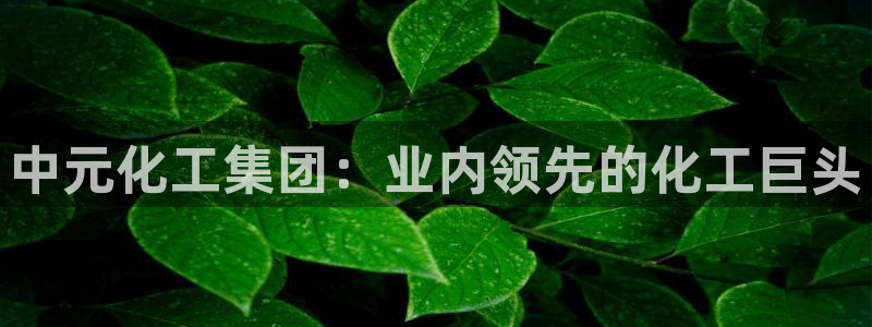 球盟会最新活动