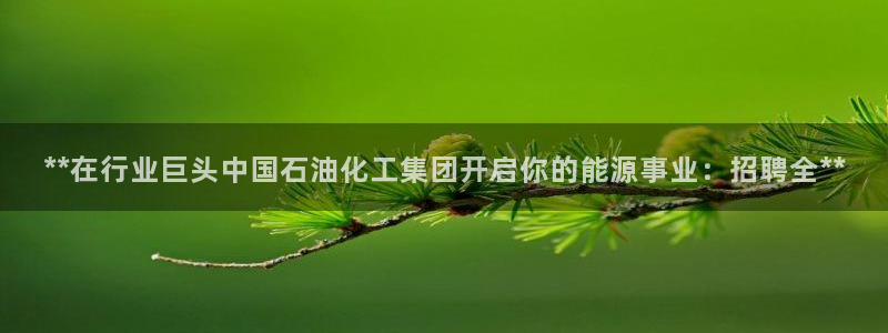球盟会最新网：**在行业巨头中国石油化工集团开启你的能源事业