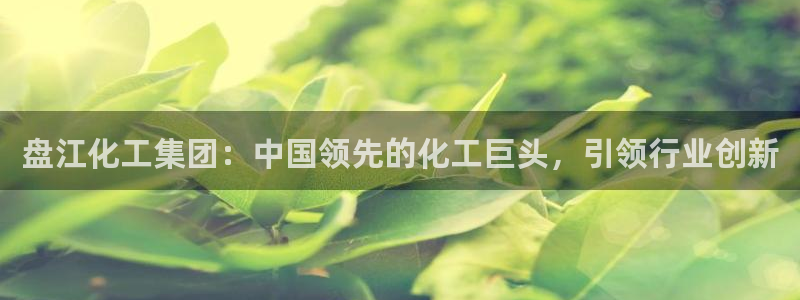 球盟会可以提现么：盘江化工集团：中国领先的化工巨头，引领行业