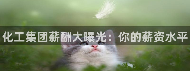球盟会黑嘛