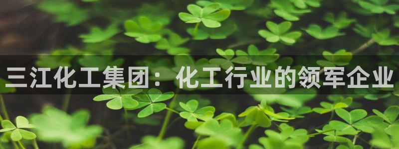 球盟会头号玩家