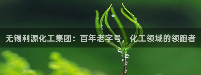 球盟会黑台子吗