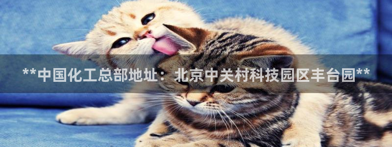 球盟会体验金球奖吗