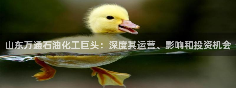 球盟会电子好下吗：山东万通石油化工巨头：深度其运营、影响和投