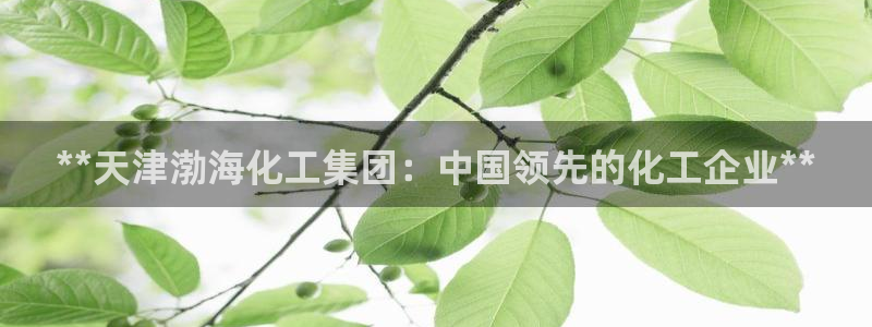 球盟会黑款吗知乎文章：**天津渤海化工集团：中国领先的化工企