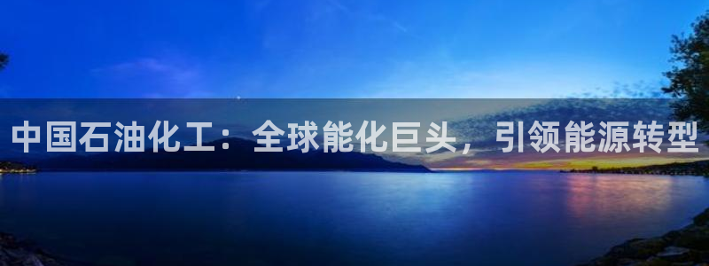 球盟会app网址多少