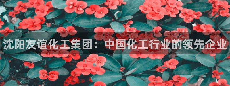 球盟会app入口