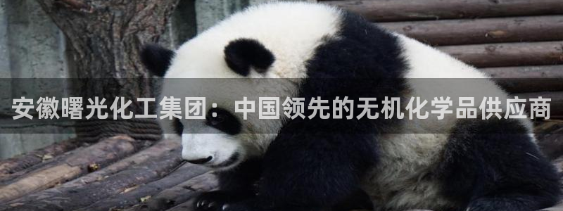 球盟会黑钱：安徽曙光化工集团：中国领先的无机化学品供应商