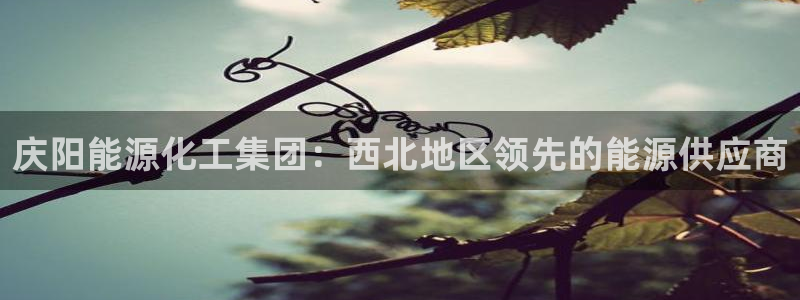 球盟会app最新地址下载：庆阳能源化工集团：西北地区领先的能