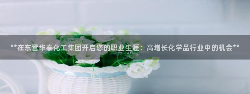 球盟会app：**在东营华泰化工集团开启您的职业生涯：高增长