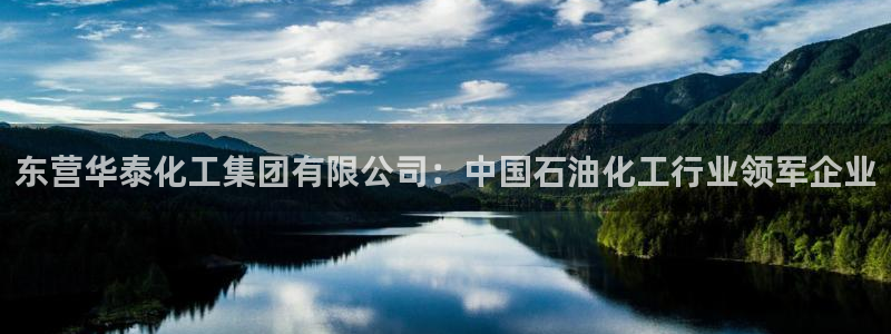 球盟会qm9：东营华泰化工集团有限公司：中国石油化工行业领军