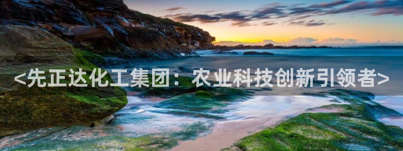 球盟会官方