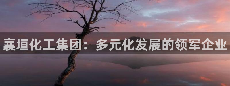 球盟会在线官网