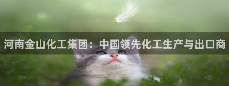球盟会有没有黑单的