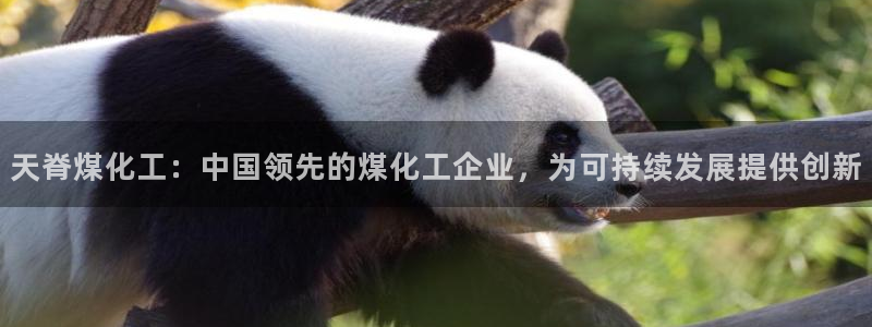 球盟会官方客服：天脊煤化工：中国领先的煤化工企业，为可持续发