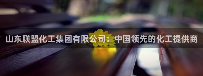 球盟会APP官网：山东联盟化工集团有限公司：中国领先的化工提