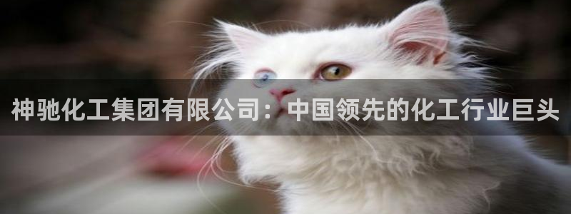 球盟会吧：神驰化工集团有限公司：中国领先的化工行业巨头