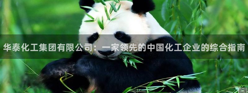 球盟会登陆中心：华泰化工集团有限公司：一家领先的中国化工企业