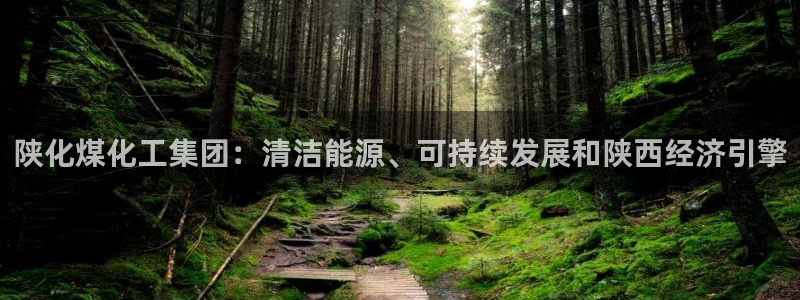 球盟会平台怎么样：陕化煤化工集团：清洁能源、可持续发展和陕西