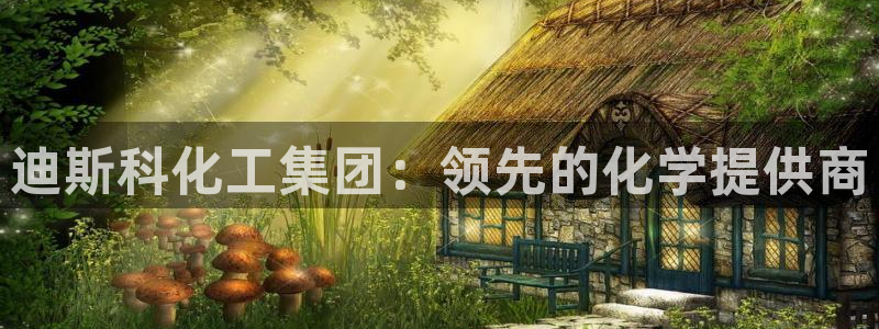 球盟会能退钱吗现在：迪斯科化工集团：领先的化学提供商