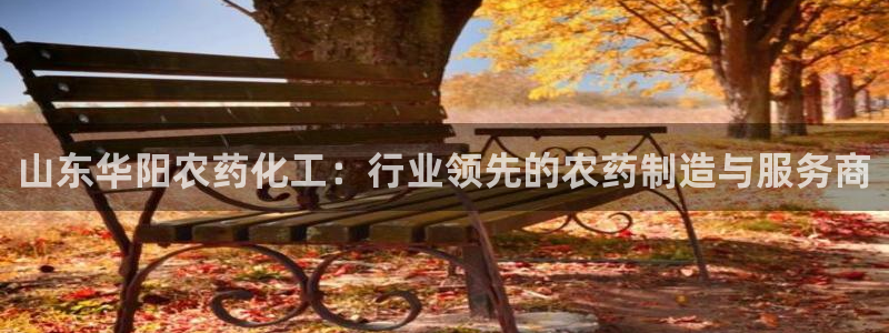 球盟会最新活动