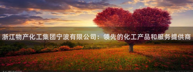球盟会电子游戏平台：浙江物产化工集团宁波有限公司：领先的化工