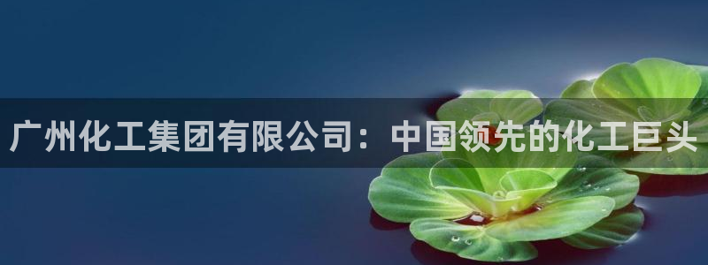 球盟会头号玩家是谁：广州化工集团有限公司：中国领先的化工巨头