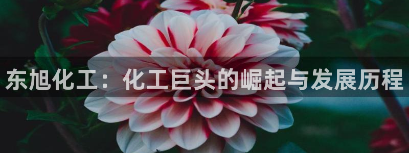 球盟会贴吧
