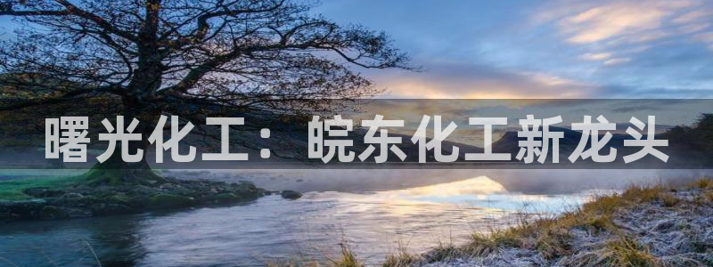 球盟会在线登入：曙光化工：皖东化工新龙头