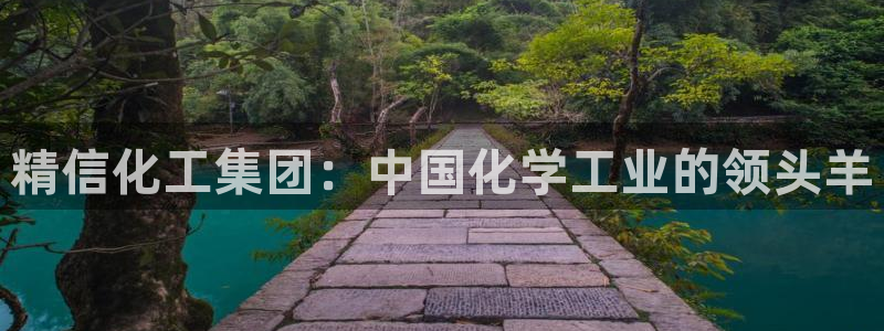 球盟会电子