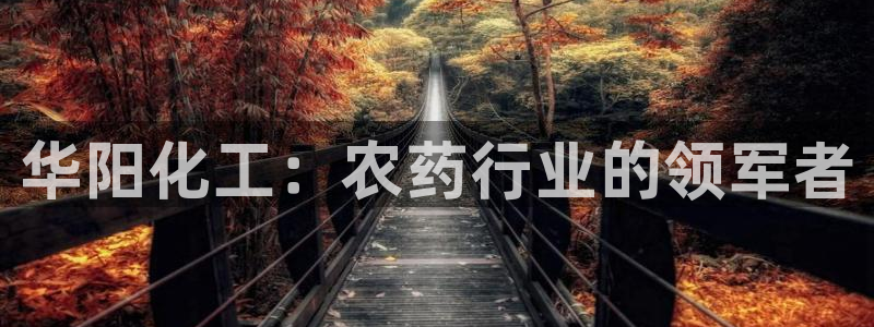 球盟会最新活动：华阳化工：农药行业的领军者
