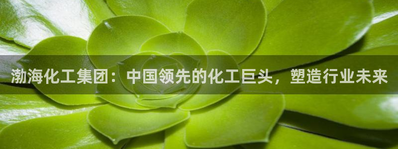 球盟会黑网：渤海化工集团：中国领先的化工巨头，塑造行业未来