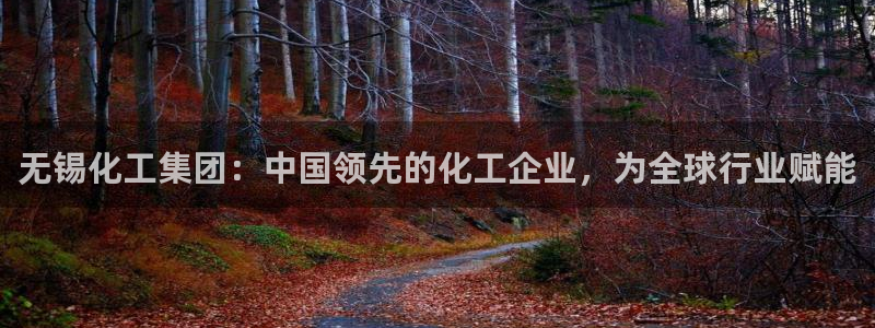 球盟会有没有黑单的球员：无锡化工集团：中国领先的化工企业，为