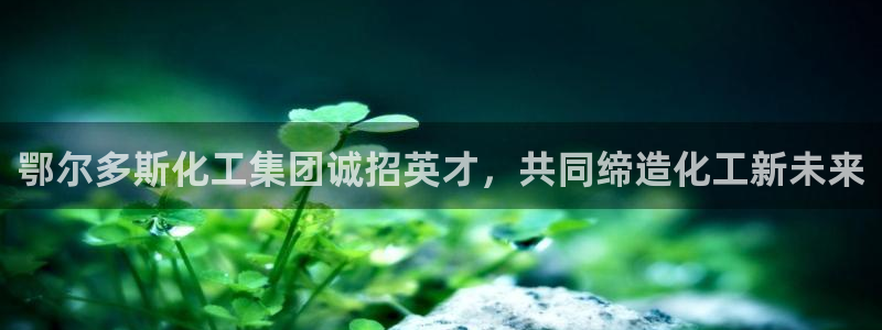 球盟会app网址多少