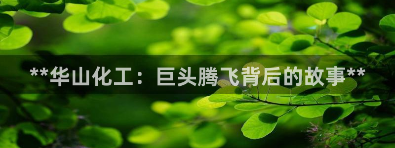球盟会黑台
