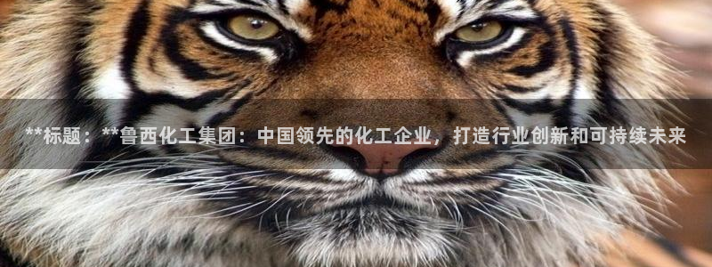 球盟会头号玩家：**标题：**鲁西化工集团：中国领先的化工企