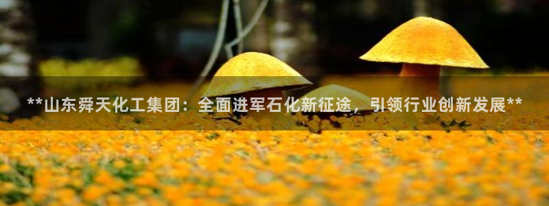 球盟会地址：**山东舜天化工集团：全面进军石化新征途，引领行