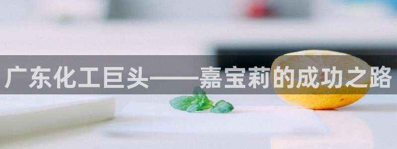 球盟会官方网站app