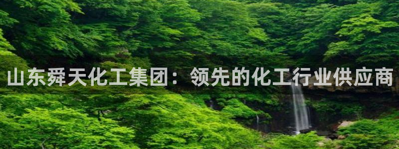 球盟会电子游戏平台：山东舜天化工集团：领先的化工行业供应商
