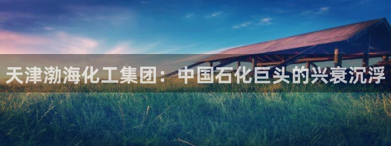 球盟会贴吧