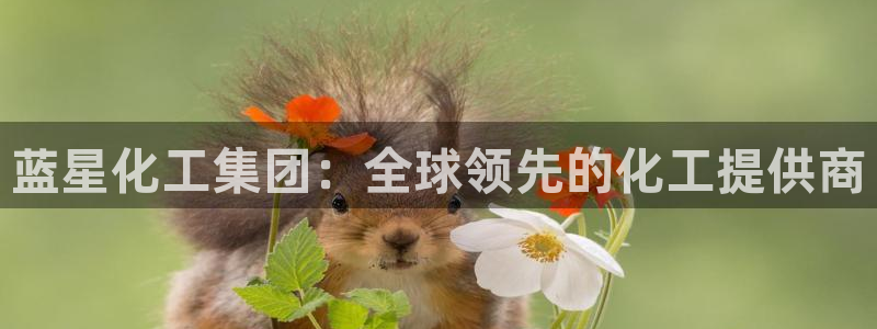 球盟会有没有黑单的人：蓝星化工集团：全球领先的化工提供商
