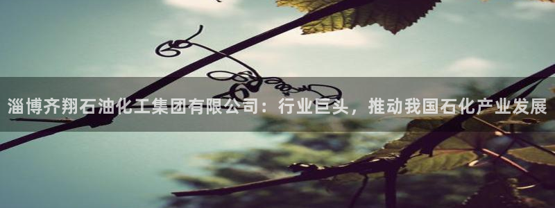 球盟会qmh电子网页版登录：淄博齐翔石油化工集团有限公司：行