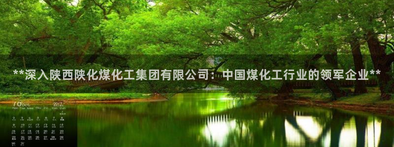球盟会有没有黑单的：**深入陕西陕化煤化工集团有限公司：中国