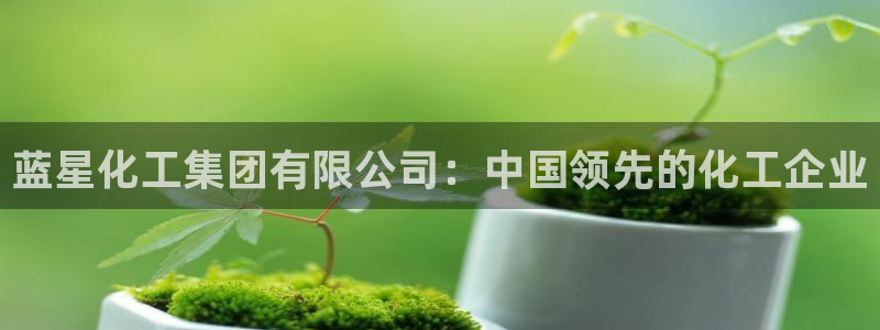 球盟会能退钱吗现在：蓝星化工集团有限公司：中国领先的化工企业