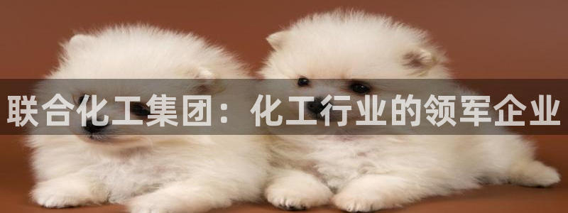 球盟会黑台子吗