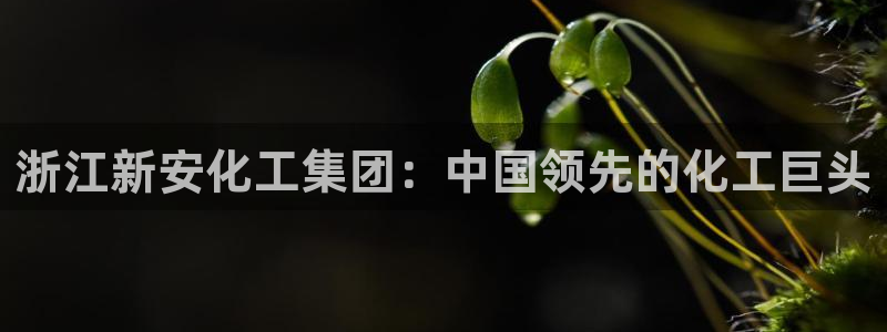 球盟会黑嘛：浙江新安化工集团：中国领先的化工巨头